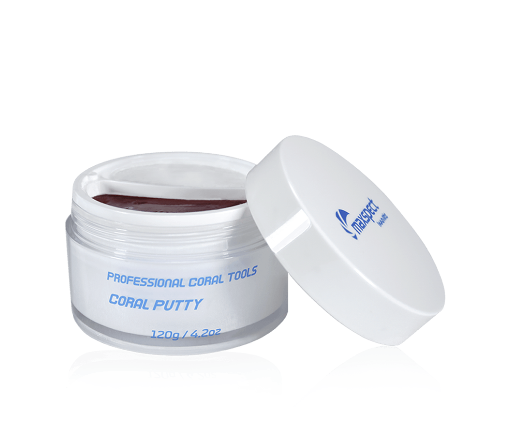 KEO 2 THÀNH PHẦN DÁN SAN HÔ Maxspect CORAL PUTTY